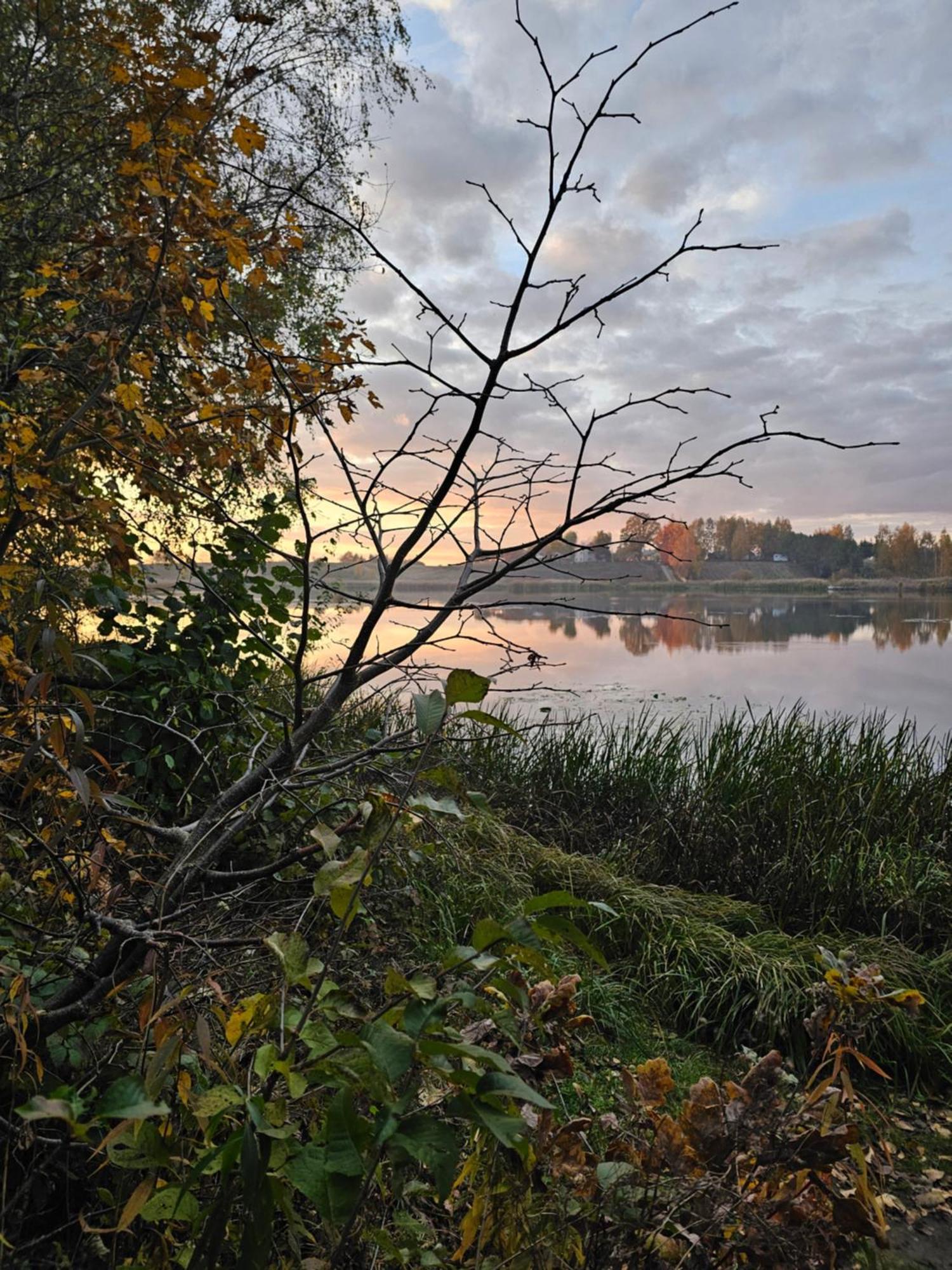 Hytte Na Wyspie -,,Roztoczanskie Morze" Kulikow Exterior foto